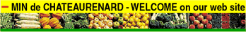 MIN DE CHATEAURENARD - WELCOME OUN OUR WEB SITE